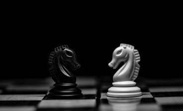 Black and white chess knights facing each other on a chessboard